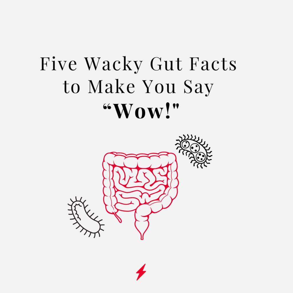 Five Wacky Gut Facts to Make You Say “Wow!"
